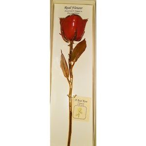 24karat Gold Long Stemmed Rose